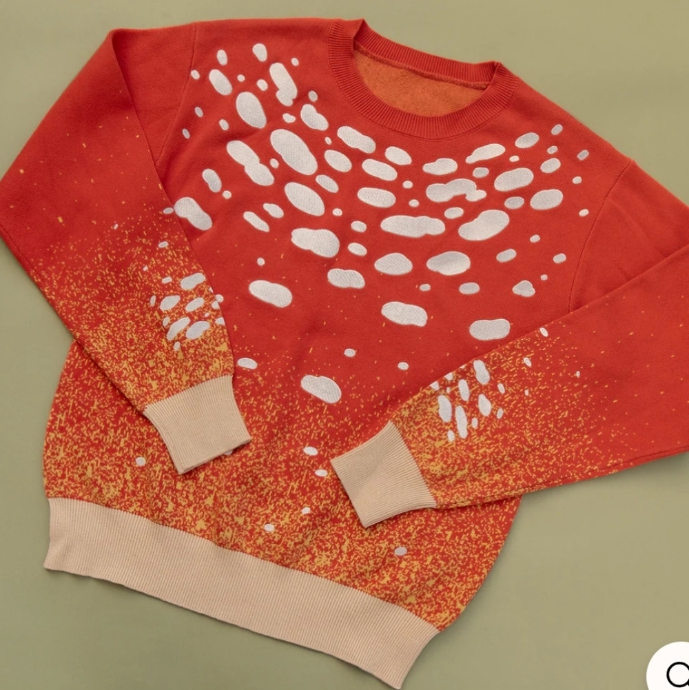 Red and White Patterned Sweater